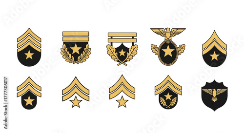 Collection of military insignias representing rank and awards honoring distinguished service and