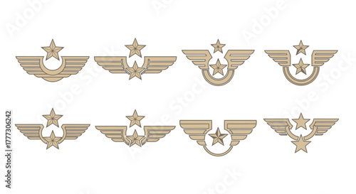 Variations of winged star emblems representing achievement, success, and recognition