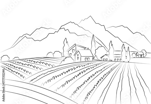 Artistic drawing of fields with lines. Village houses on the background of mountains. Vector image of a landscape.
