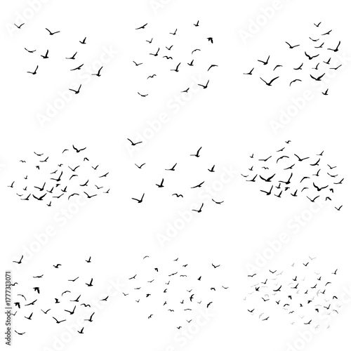 Silhouettes of a flock of flying birds. Large set. Black on a white background. Includes swallows, pigeons, and turtledoves.