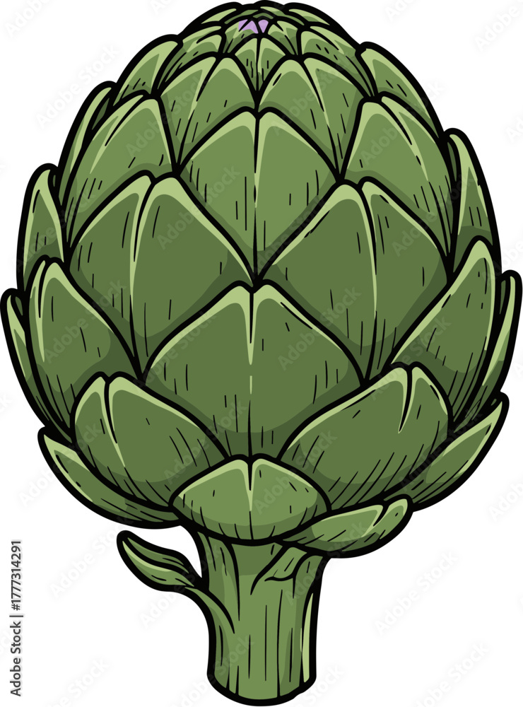 Fototapeta premium Detailed Lineart Style Artichoke Vegetable Fresh Ingredient Kitchen Culinary