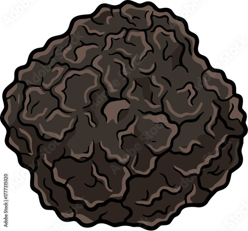 Simple Handdrawn Style Black Truffle Gourmet Fungus Edible Food Icon