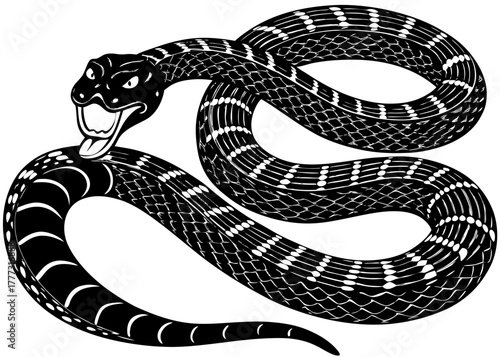 Rattlesnake — Venomous Desert Reptile Known for Its Rattle Warning