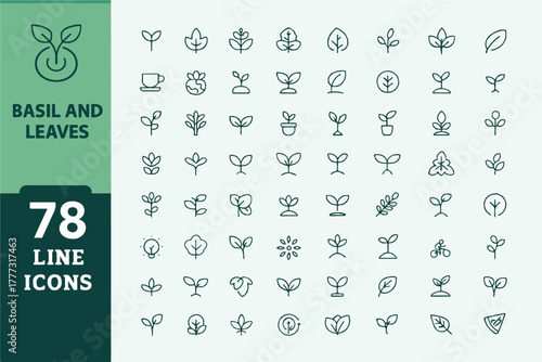 Basil and Leaves Line Icons Set � Minimal Botanical Vector Pack