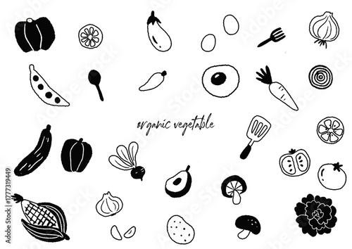 シンプルな野菜の線画イラスト