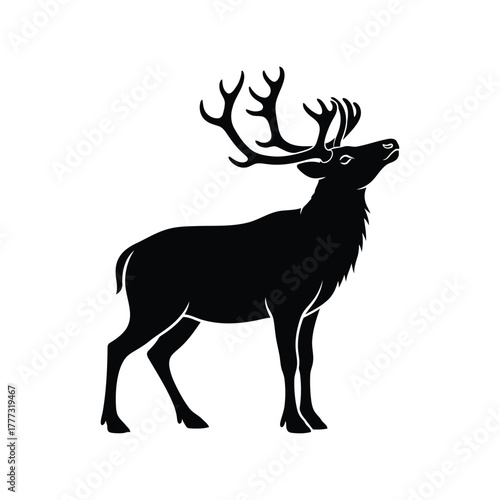 Majestic stag deer silhouette vector illustration   wildlife animal with antlers design isolated on white background, Vector