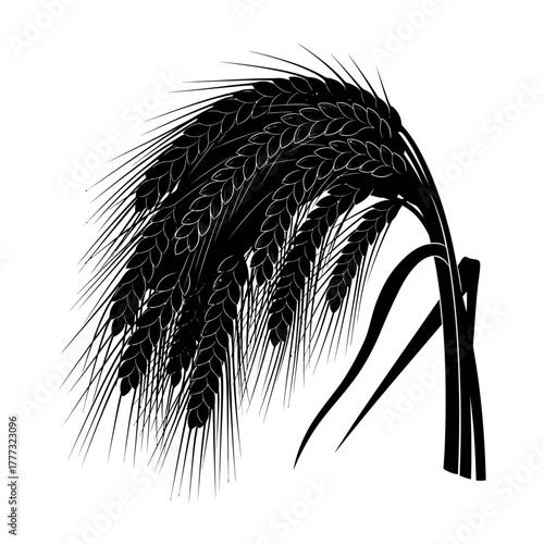 Black and White Wheat Illustration of a Bundle Tied Together Harvest Symbol