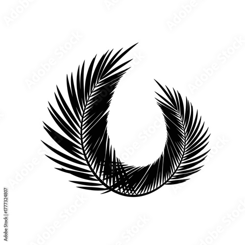 Tropical Black Palm Frond Circular Design Vector Illustration Abstract Pattern