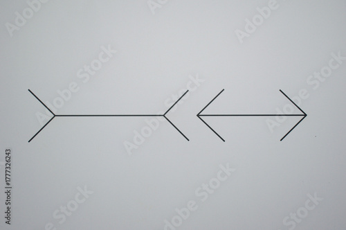 Müller-Lyer optical illusion, showing two parallel lines with arrow-like ends pointing inward and outward. This classic visual experiment explores human perception of length and geometry. 