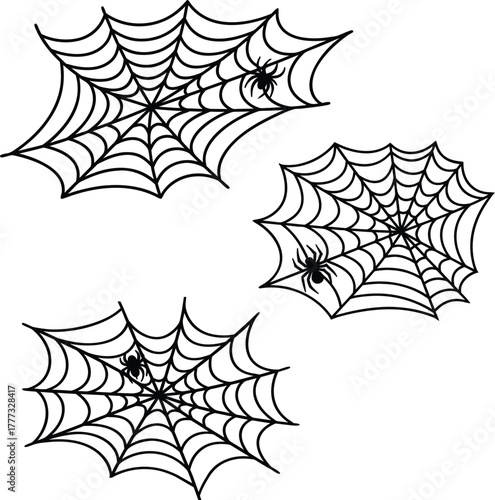 silhouettes black line spiderweb Vector