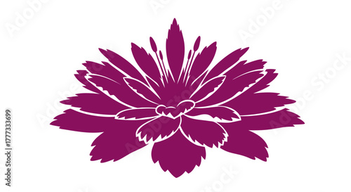 A detailed graphic illustration of a beautiful purple chrysanthemum flower with intricate petals against a white background