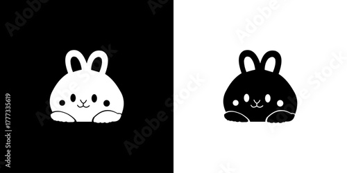 Cute cat isolated on black and white