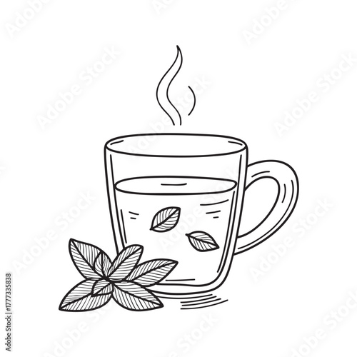 Glass cup containing hot tea with mint sprigs