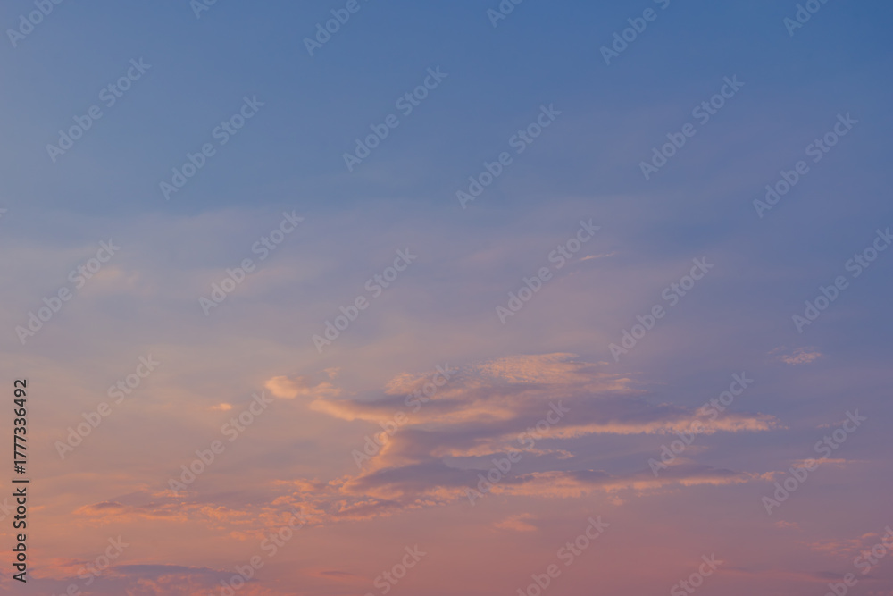 Obraz premium 青い夕空