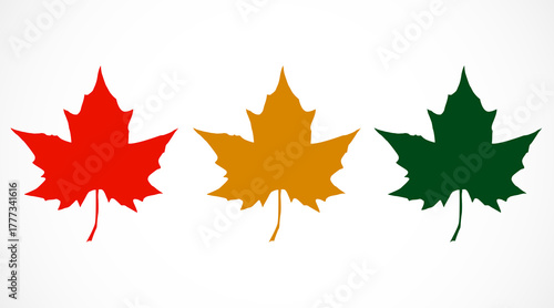 Set of autumn maple leaves of different colors isolated on a white background. Vector illustration
