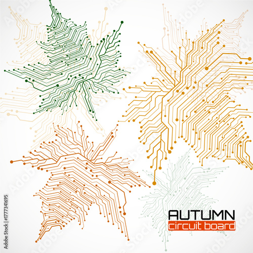 Maple leaves with circuit board, technological style for your design