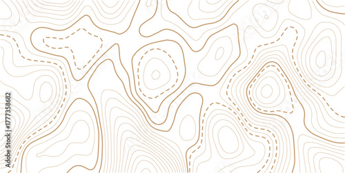 Abstract topo contour map on white background, Topographic map Topographic contour lines map seamless pattern.Geographic mountain relief. Abstract lines background. Contour maps.