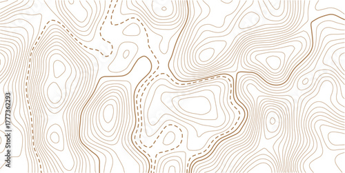 Topographic gold luxury map background. Geographic abstract pattern. The topo contour or wallpaper.topographic line contour map background, geographic grid map, stock vector illustration