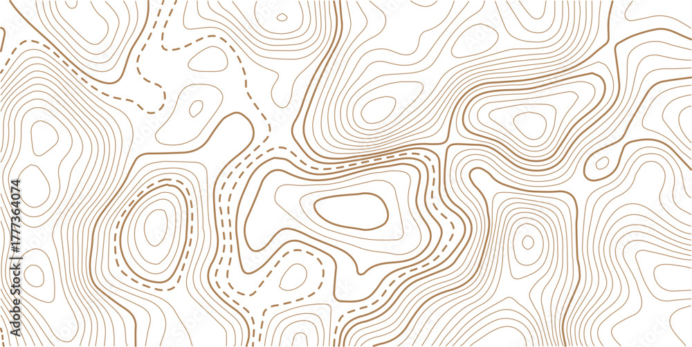 Fototapeta premium Topographic gold luxury map background. Geographic abstract pattern. . Design illustration for wall art, fabric, packaging, web, banner, wallpaper. 
