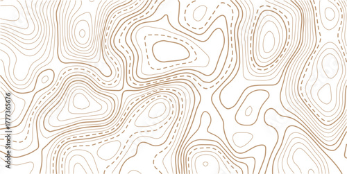 Topographic gold luxury map background. Geographic abstract pattern.paper texture Imitation of a geographical map shades.