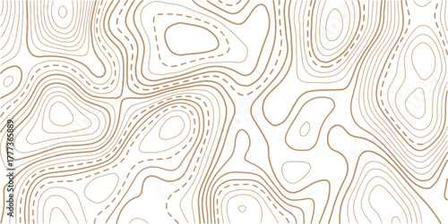 Abstract Topographic Pattern contour line map. Luxury gold abstract line art on transparent background image.Topography background. Vector banner. Topo.