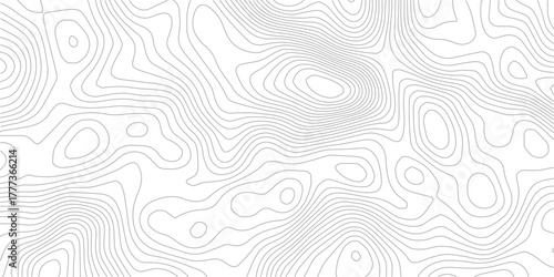 Topographic map contour lines abstract vector elevation graphic perfect for backgrounds and textures