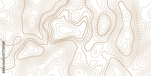 Topographic map background geographic line map with elevation assignments.Mountain topographic terrain map background with gold lines texture. Design illustration for wall art, fabric, packaging, web.