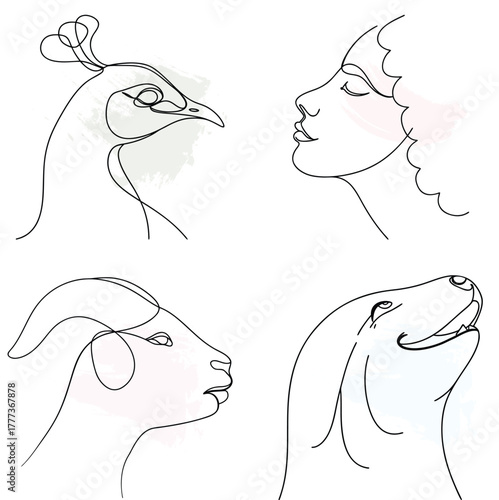 Minimalist Line Art Portraits Peacock, Woman, Goat, Dog continuous line art bundle bird