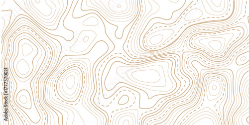 Topographic map background geographic line map with elevation assignments.Mountain topographic terrain map background with gold lines texture. Design illustration for wall art, fabric, packaging, web.