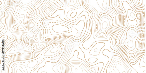 Abstract topo contour map on white background, Topographic map Topographic contour lines map seamless pattern.The concept of a conditional geography scheme and contour line map image.