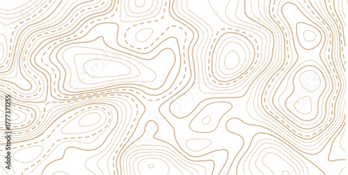 .Topographic line contour map background, geographic grid map, stock vector illustration. Geographic mountain relief diagram line wave carve pattern.