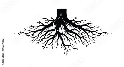 Intricate tree roots spreading outwards, symbolizing growth and connection