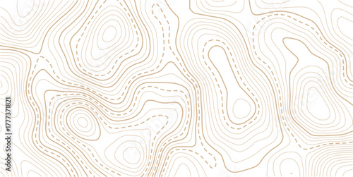 .Topographic line contour map background, geographic grid map, stock vector illustration. Geographic mountain relief diagram line wave carve pattern.