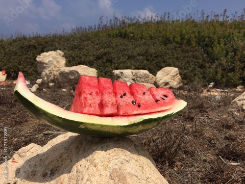 Juicy sliced watermelon outdoors, summer landscape, picnic and relaxation.