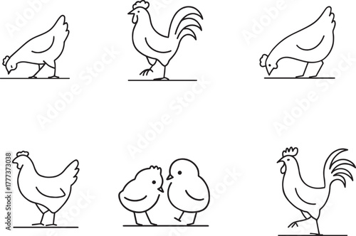 Poultry Farm Icon Set: Rooster, Hen, and Chicks Line Art Illustrations