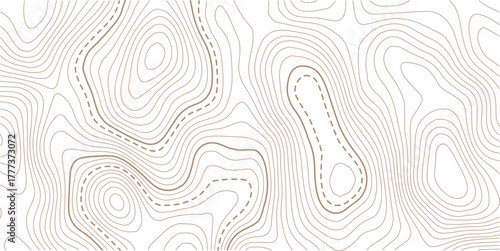 Topographic gold luxury map background. Geographic abstract pattern. The topo contour or wallpaper.Design illustration for wall art, fabric, packaging, web, banner, wallpaper.
