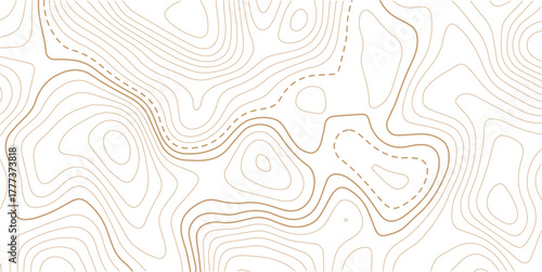 Abstract topo contour map on white background, Topographic map Topographic contour lines map seamless pattern.The concept of a conditional geography scheme and contour line map image.