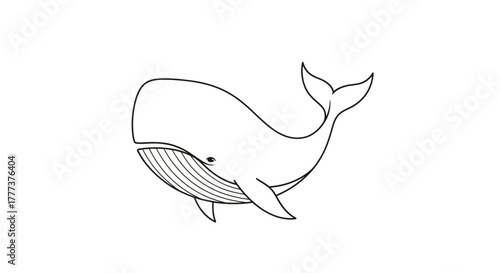 Elegant linear depiction of a whale, a study in simple monochrome animal forms