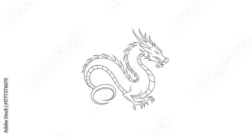 Elegant mythical dragon outline, stylized monochrome design element and illustration