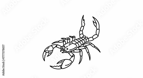 Stylized monochrome illustration of a scorpion with raised claws and segmented body
