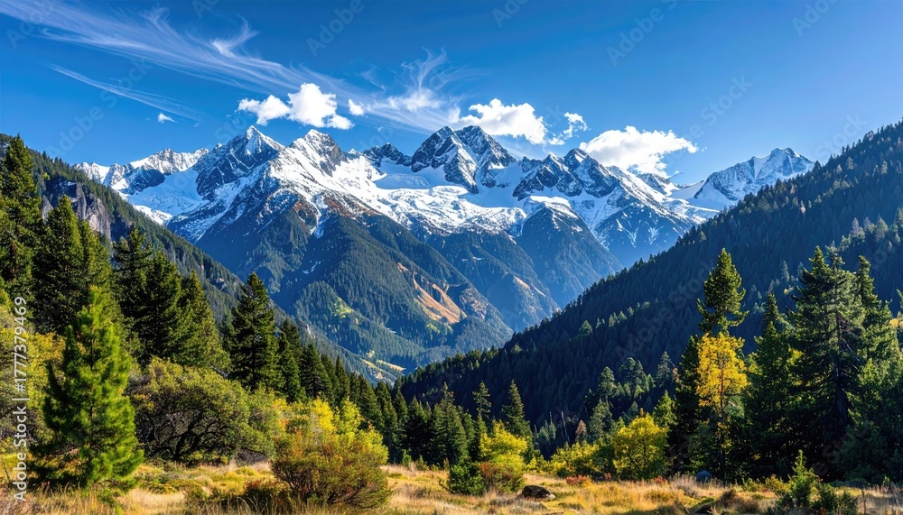 Fototapeta premium Majestic Snow Capped Mountain Range Under a Clear Blue Sky With Wispy Clouds And Green Pine Trees In The Foreground