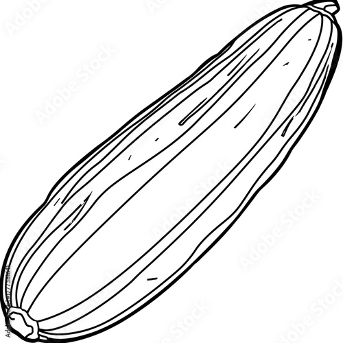Black and white illustration of a zucchini on white background