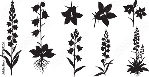 Black silhouette floral arrangements with bell shaped flowers and spiky blooms white