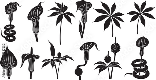 Black silhouettes of arum lilies and snakes lily serpent