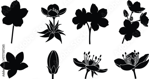 Black silhouettes of various blooming flowers and buds petal stamen
