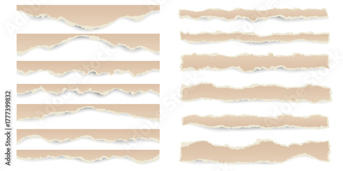 Torn paper sheet. Ripped stripes with retro texture on white background for banner and text message. Pieces of note page for collage with rough edge and realistic shadow. Vector illustration
