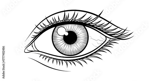 Detailed monochrome eye illustration showcasing intricate line work and subtle textures