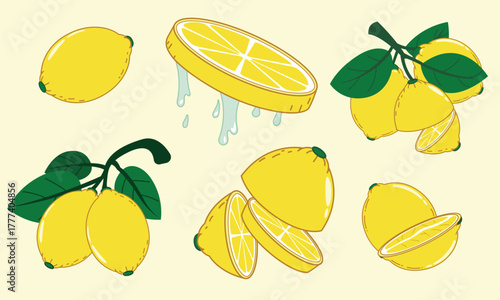 Cute Handdrawn Illustration of Lemon Fruit with Leaf and Slice