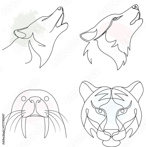 Minimalist Line Art Animal Heads Wolf Walrus Tiger Keywords: wolf, walrus, tiger, continuous line art bundle