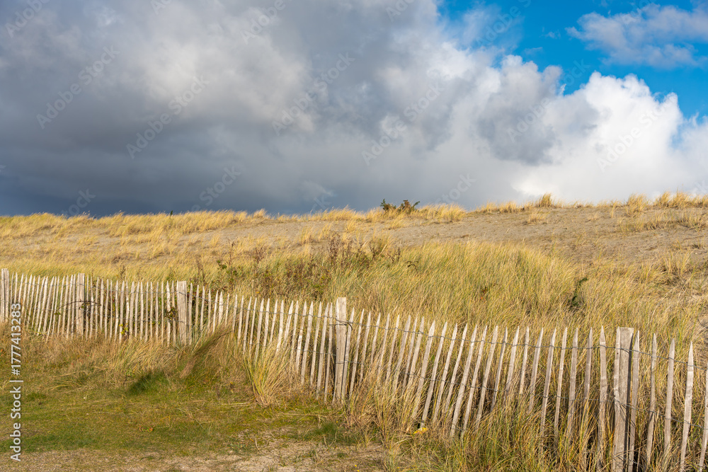 Fototapeta premium Fence along coastal dunes. Wooden fence runs through yellow dune grass with blue sky and clouds above. A classic coastal protection landscape.